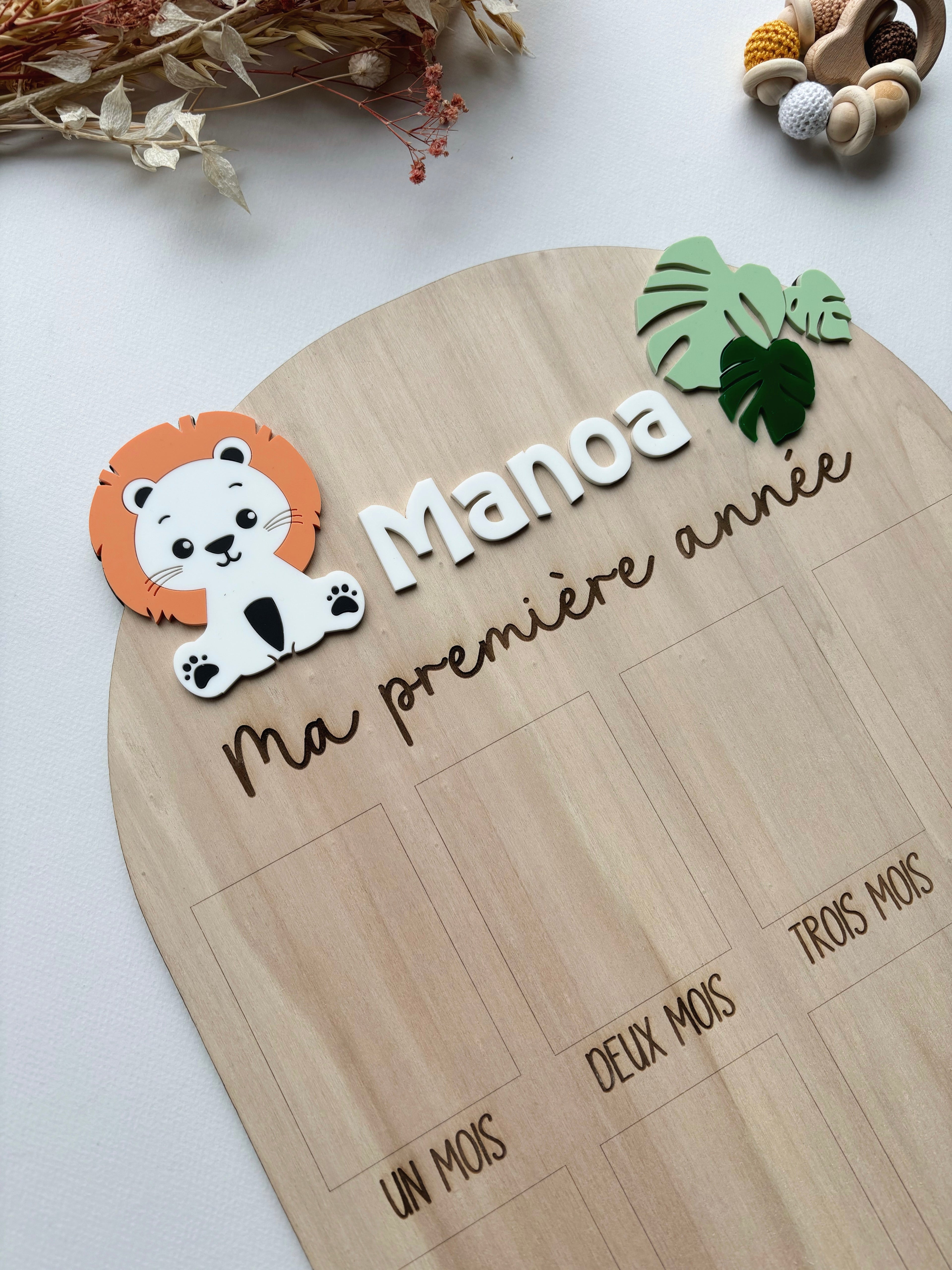 Panneau ma première année jungle